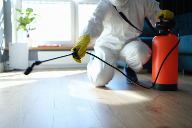 Reliable Odor Removal contractor in Brandon, WI by Trauma Clean Pros